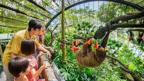 Singapore Zoo Wildlife Park